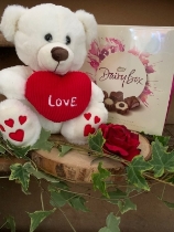 Teddy and Choc Giftset